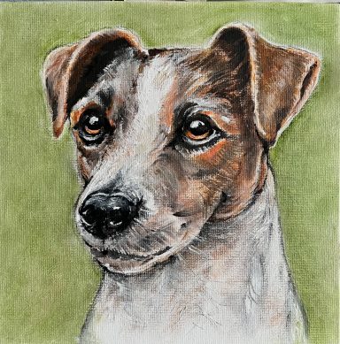 Jack Russell £220