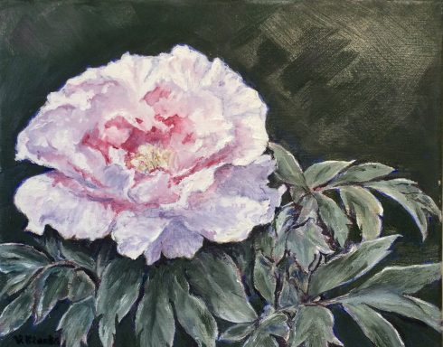 Peony £350