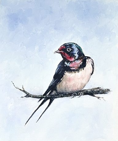 Swallow £199