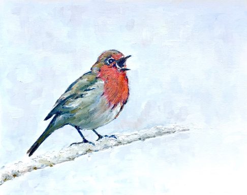 Robin £199