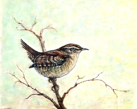 Wren £199